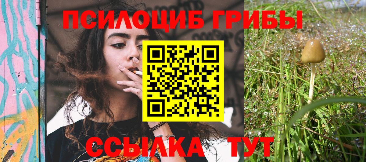 Псилоцибиновые грибы прущие грибы Славгород