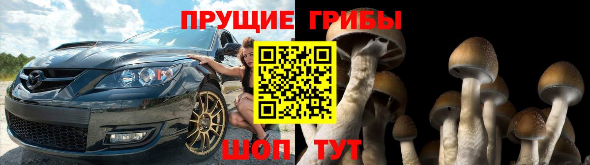 Славгород  Галлюциногенные грибы MAGIC MUSHROOMS  Вход с VPN 